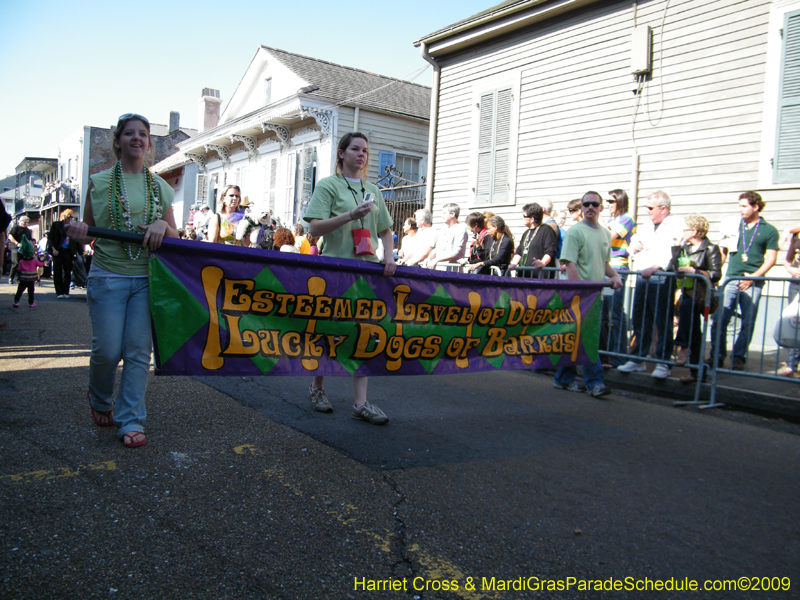 2009-Mystic-Krewe-of-Barkus-Mardi-Gras-French-Quarter-New-Orleans-Dog-Parade-Harriet-Cross-7253