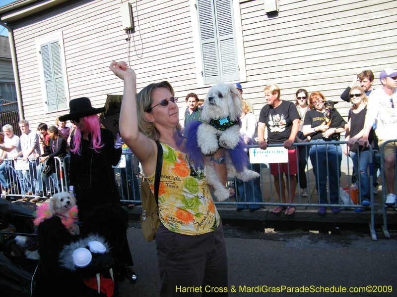 2009-Mystic-Krewe-of-Barkus-Mardi-Gras-French-Quarter-New-Orleans-Dog-Parade-Harriet-Cross-7254