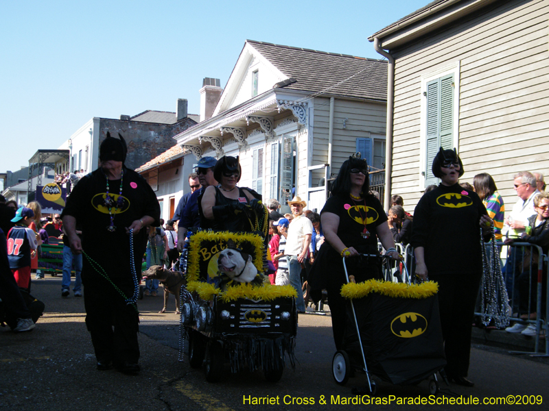 2009-Mystic-Krewe-of-Barkus-Mardi-Gras-French-Quarter-New-Orleans-Dog-Parade-Harriet-Cross-7277