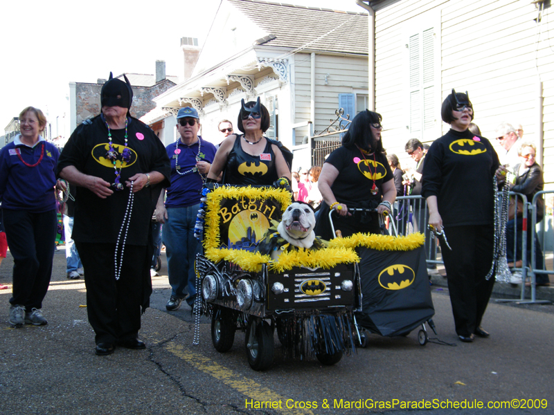 2009-Mystic-Krewe-of-Barkus-Mardi-Gras-French-Quarter-New-Orleans-Dog-Parade-Harriet-Cross-7278