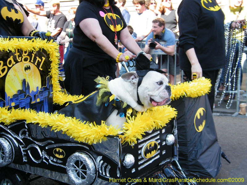 2009-Mystic-Krewe-of-Barkus-Mardi-Gras-French-Quarter-New-Orleans-Dog-Parade-Harriet-Cross-7279