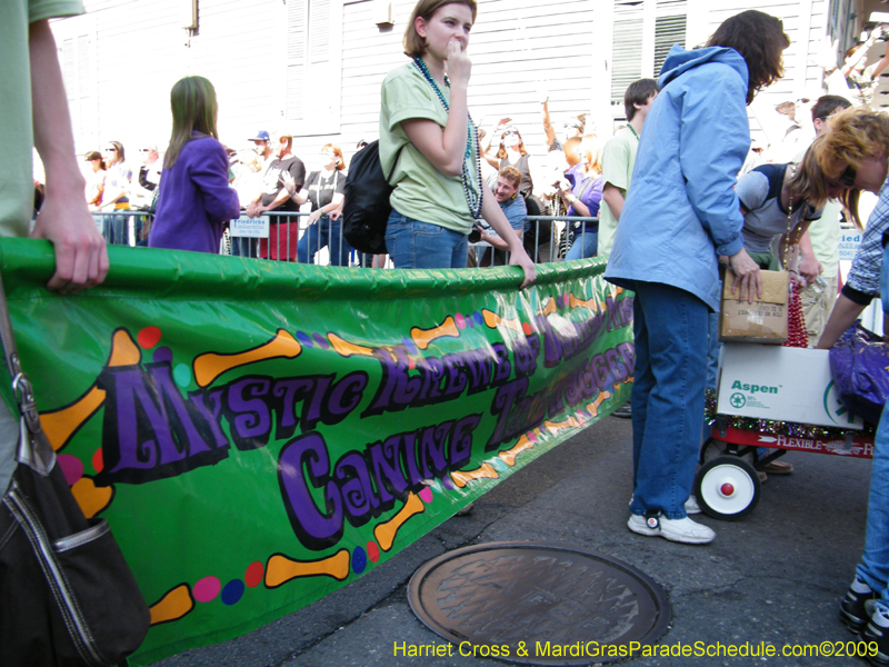 2009-Mystic-Krewe-of-Barkus-Mardi-Gras-French-Quarter-New-Orleans-Dog-Parade-Harriet-Cross-7281