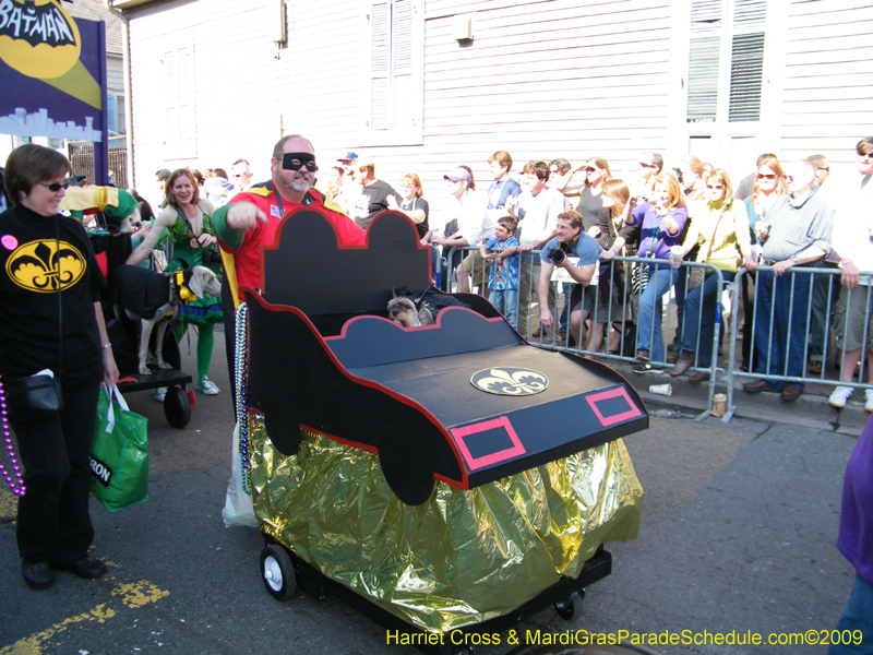 2009-Mystic-Krewe-of-Barkus-Mardi-Gras-French-Quarter-New-Orleans-Dog-Parade-Harriet-Cross-7283