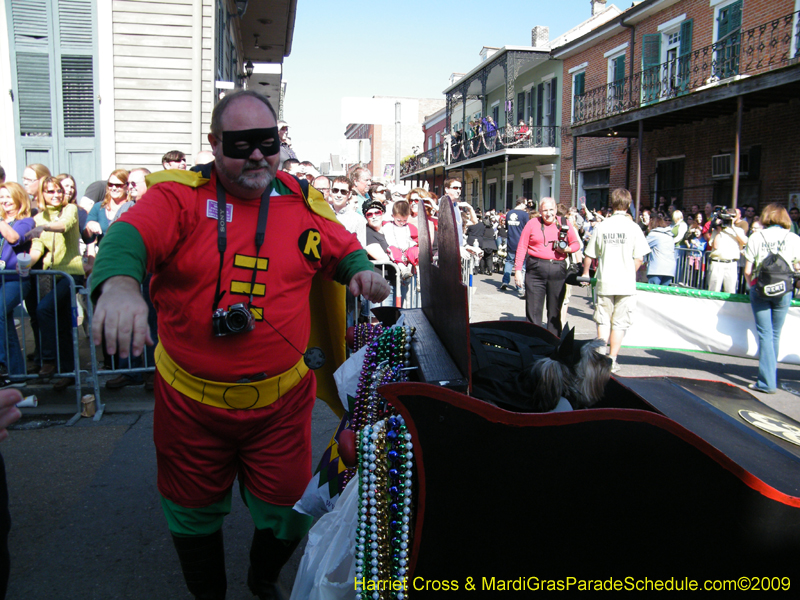 2009-Mystic-Krewe-of-Barkus-Mardi-Gras-French-Quarter-New-Orleans-Dog-Parade-Harriet-Cross-7284