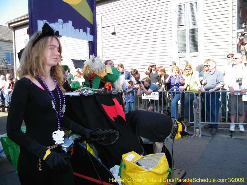 2009-Mystic-Krewe-of-Barkus-Mardi-Gras-French-Quarter-New-Orleans-Dog-Parade-Harriet-Cross-7285