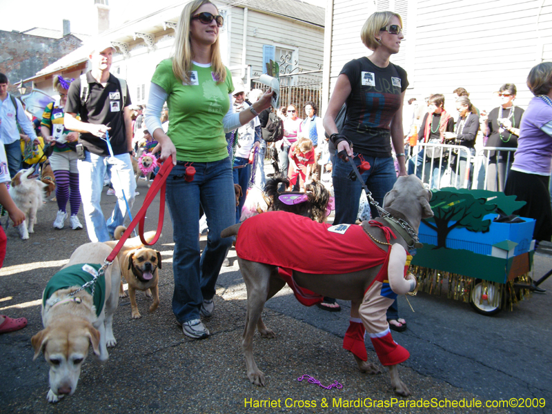 2009-Mystic-Krewe-of-Barkus-Mardi-Gras-French-Quarter-New-Orleans-Dog-Parade-Harriet-Cross-7299