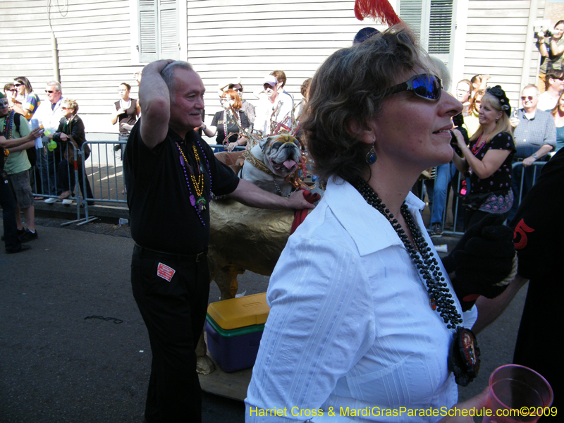 2009-Mystic-Krewe-of-Barkus-Mardi-Gras-French-Quarter-New-Orleans-Dog-Parade-Harriet-Cross-7308