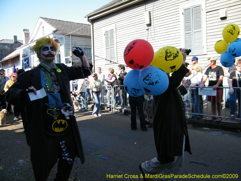 2009-Mystic-Krewe-of-Barkus-Mardi-Gras-French-Quarter-New-Orleans-Dog-Parade-Harriet-Cross-7309