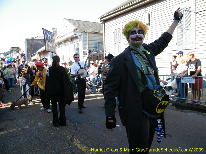 2009-Mystic-Krewe-of-Barkus-Mardi-Gras-French-Quarter-New-Orleans-Dog-Parade-Harriet-Cross-7310