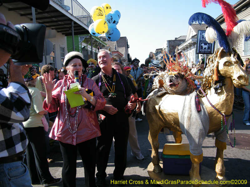 2009-Mystic-Krewe-of-Barkus-Mardi-Gras-French-Quarter-New-Orleans-Dog-Parade-Harriet-Cross-7313