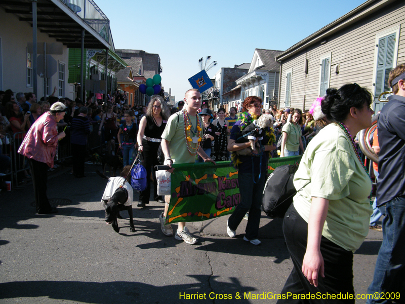 2009-Mystic-Krewe-of-Barkus-Mardi-Gras-French-Quarter-New-Orleans-Dog-Parade-Harriet-Cross-7315