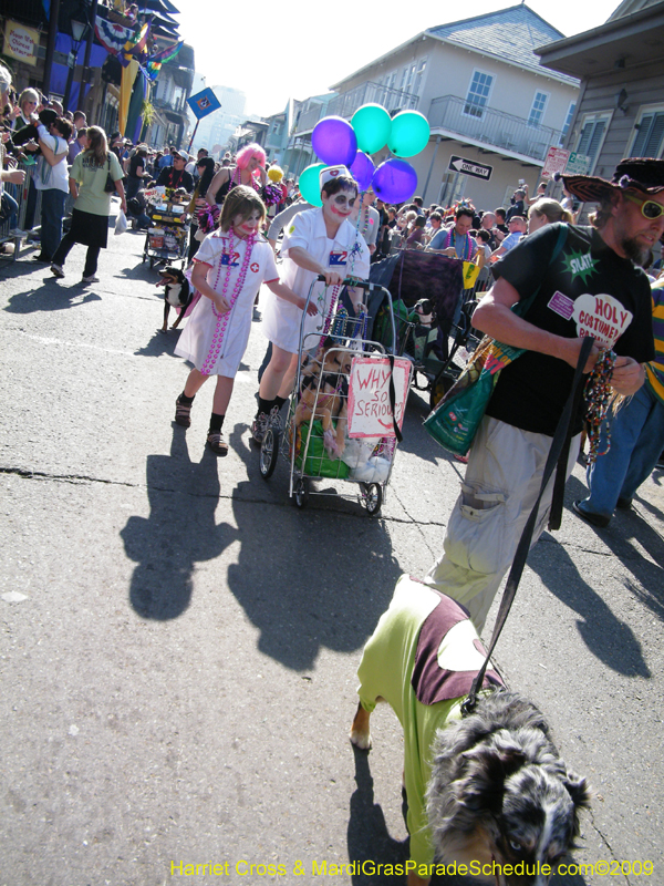 2009-Mystic-Krewe-of-Barkus-Mardi-Gras-French-Quarter-New-Orleans-Dog-Parade-Harriet-Cross-7321