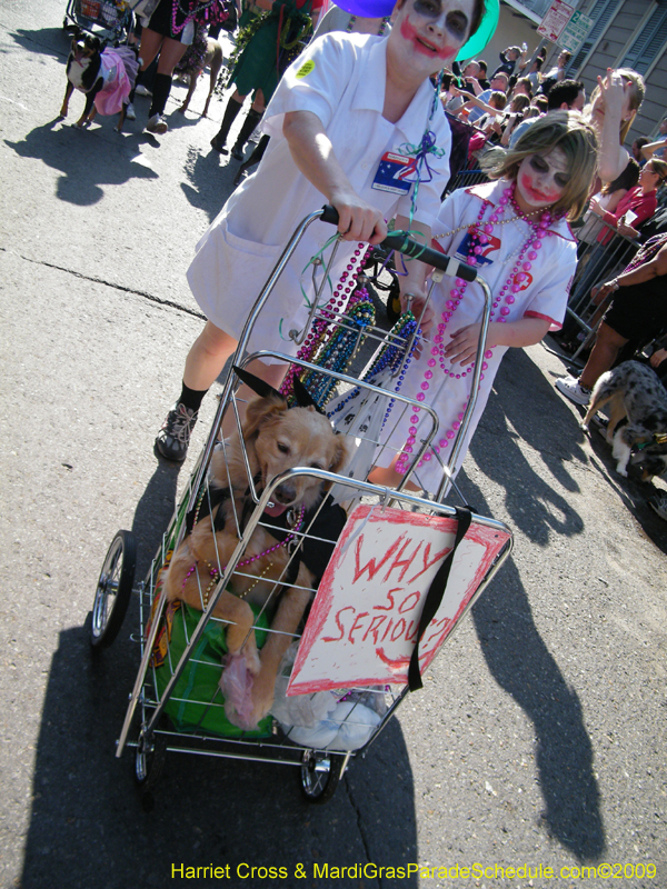 2009-Mystic-Krewe-of-Barkus-Mardi-Gras-French-Quarter-New-Orleans-Dog-Parade-Harriet-Cross-7322