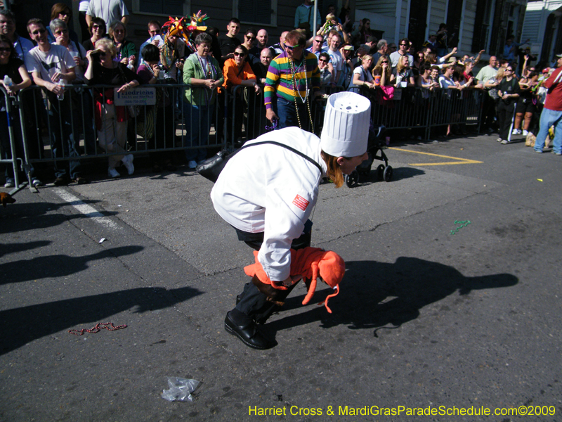 2009-Mystic-Krewe-of-Barkus-Mardi-Gras-French-Quarter-New-Orleans-Dog-Parade-Harriet-Cross-7333