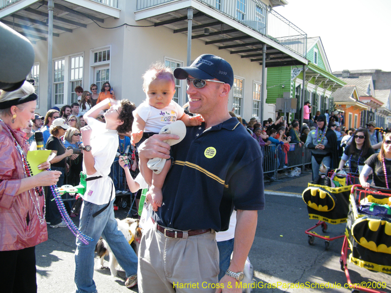 2009-Mystic-Krewe-of-Barkus-Mardi-Gras-French-Quarter-New-Orleans-Dog-Parade-Harriet-Cross-7335