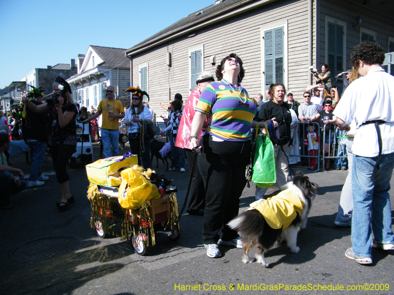 2009-Mystic-Krewe-of-Barkus-Mardi-Gras-French-Quarter-New-Orleans-Dog-Parade-Harriet-Cross-7338