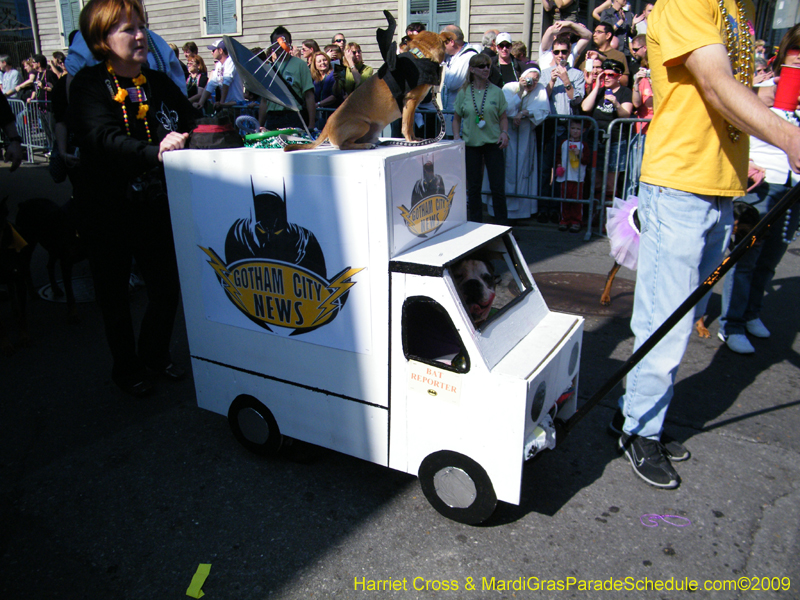 2009-Mystic-Krewe-of-Barkus-Mardi-Gras-French-Quarter-New-Orleans-Dog-Parade-Harriet-Cross-7340