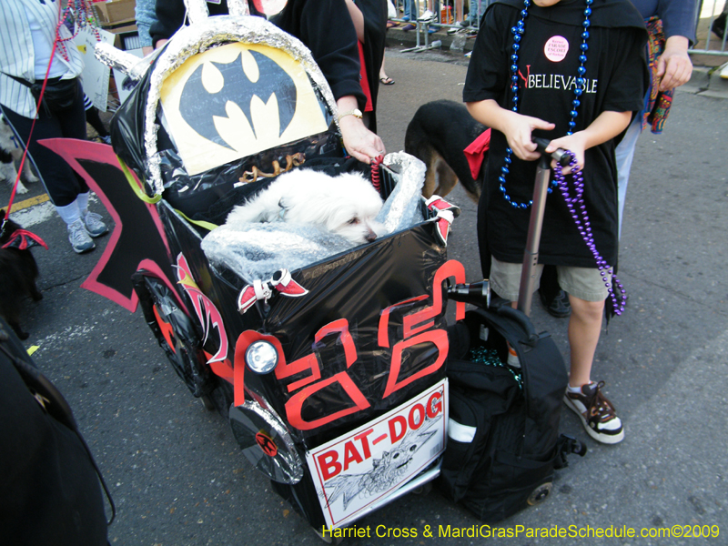 2009-Mystic-Krewe-of-Barkus-Mardi-Gras-French-Quarter-New-Orleans-Dog-Parade-Harriet-Cross-7347