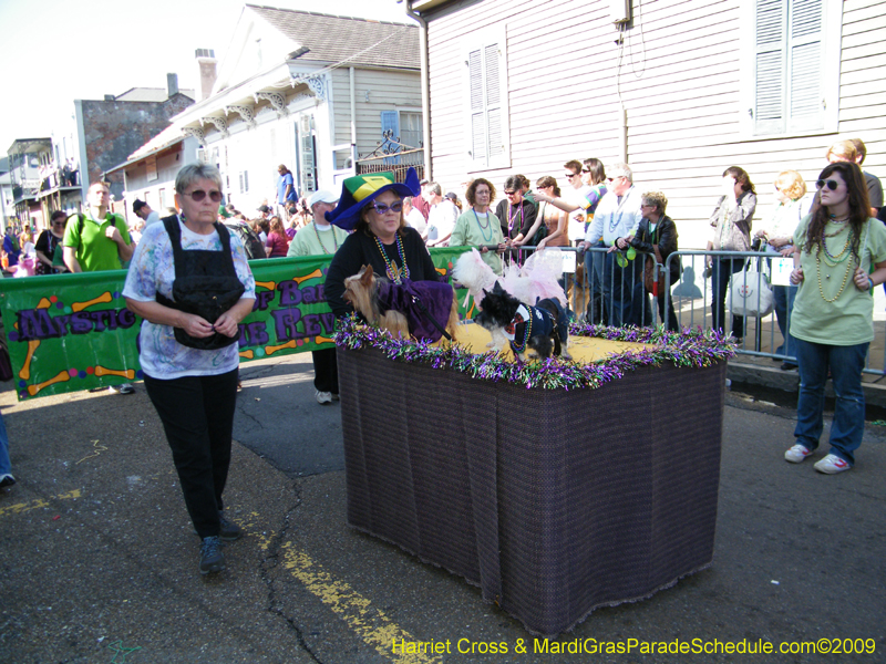 2009-Mystic-Krewe-of-Barkus-Mardi-Gras-French-Quarter-New-Orleans-Dog-Parade-Harriet-Cross-7349