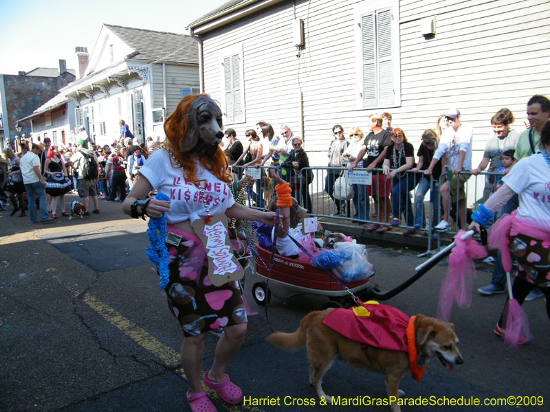 2009-Mystic-Krewe-of-Barkus-Mardi-Gras-French-Quarter-New-Orleans-Dog-Parade-Harriet-Cross-7353