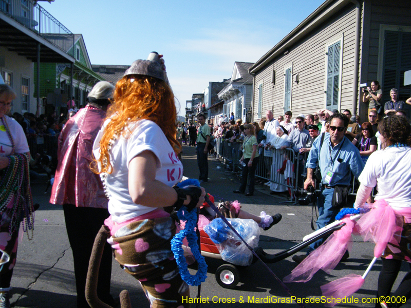 2009-Mystic-Krewe-of-Barkus-Mardi-Gras-French-Quarter-New-Orleans-Dog-Parade-Harriet-Cross-7356