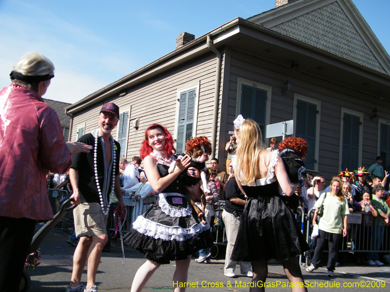 2009-Mystic-Krewe-of-Barkus-Mardi-Gras-French-Quarter-New-Orleans-Dog-Parade-Harriet-Cross-7360