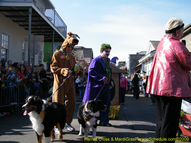 2009-Mystic-Krewe-of-Barkus-Mardi-Gras-French-Quarter-New-Orleans-Dog-Parade-Harriet-Cross-7361