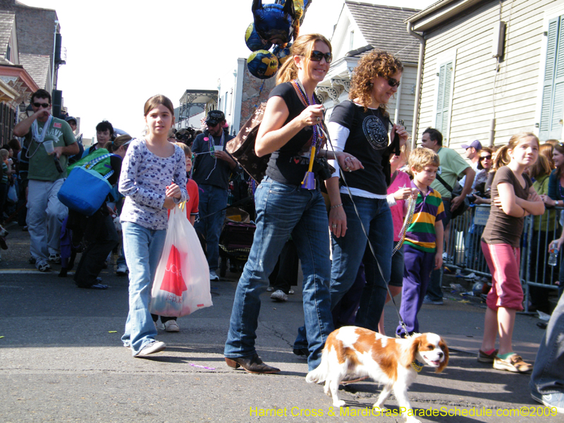 2009-Mystic-Krewe-of-Barkus-Mardi-Gras-French-Quarter-New-Orleans-Dog-Parade-Harriet-Cross-7373