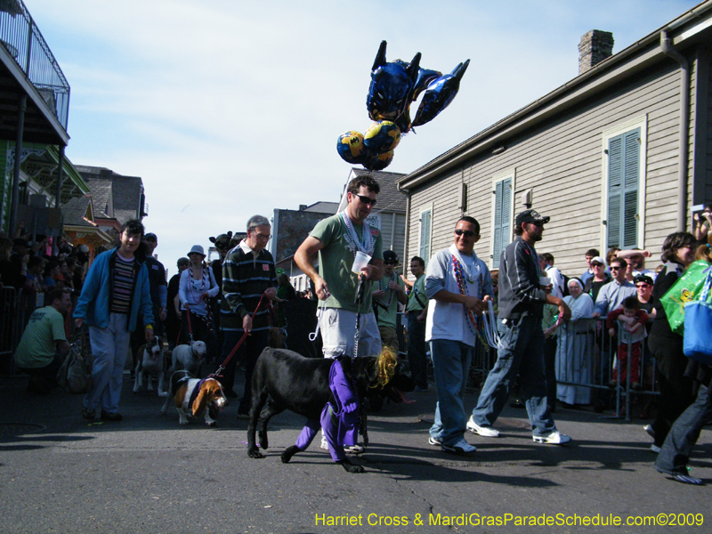 2009-Mystic-Krewe-of-Barkus-Mardi-Gras-French-Quarter-New-Orleans-Dog-Parade-Harriet-Cross-7375