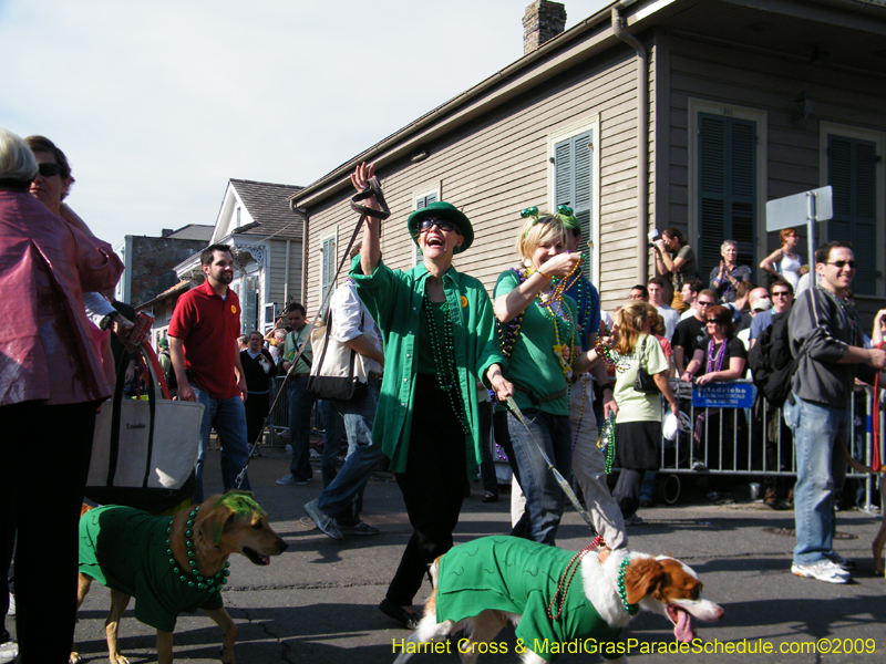 2009-Mystic-Krewe-of-Barkus-Mardi-Gras-French-Quarter-New-Orleans-Dog-Parade-Harriet-Cross-7376