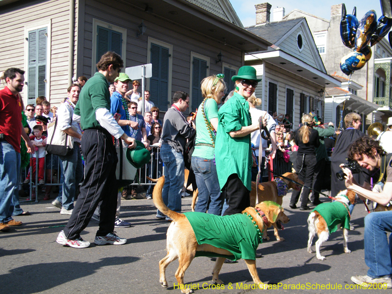 2009-Mystic-Krewe-of-Barkus-Mardi-Gras-French-Quarter-New-Orleans-Dog-Parade-Harriet-Cross-7377