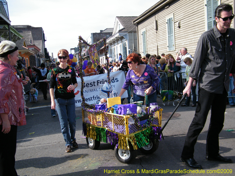 2009-Mystic-Krewe-of-Barkus-Mardi-Gras-French-Quarter-New-Orleans-Dog-Parade-Harriet-Cross-7380