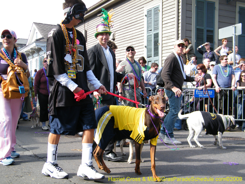 2009-Mystic-Krewe-of-Barkus-Mardi-Gras-French-Quarter-New-Orleans-Dog-Parade-Harriet-Cross-7385