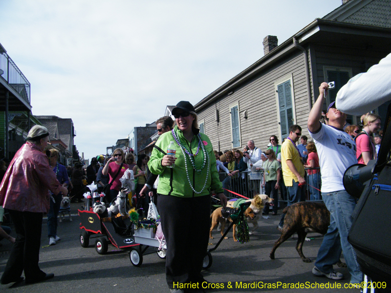 2009-Mystic-Krewe-of-Barkus-Mardi-Gras-French-Quarter-New-Orleans-Dog-Parade-Harriet-Cross-7386