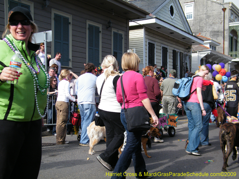 2009-Mystic-Krewe-of-Barkus-Mardi-Gras-French-Quarter-New-Orleans-Dog-Parade-Harriet-Cross-7387