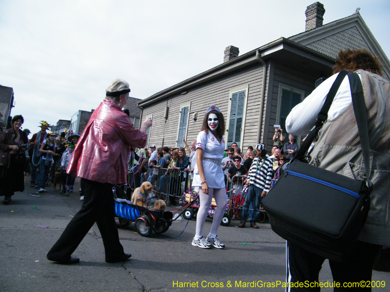 2009-Mystic-Krewe-of-Barkus-Mardi-Gras-French-Quarter-New-Orleans-Dog-Parade-Harriet-Cross-7389