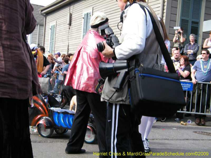 2009-Mystic-Krewe-of-Barkus-Mardi-Gras-French-Quarter-New-Orleans-Dog-Parade-Harriet-Cross-7391