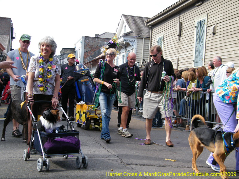 2009-Mystic-Krewe-of-Barkus-Mardi-Gras-French-Quarter-New-Orleans-Dog-Parade-Harriet-Cross-7393