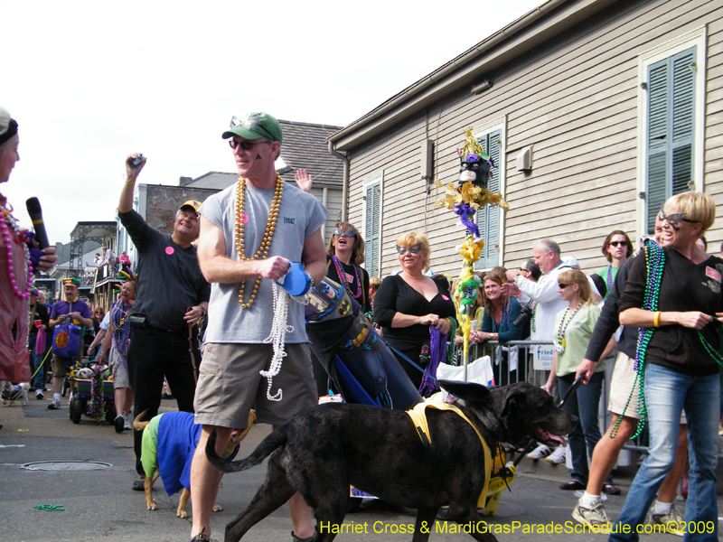 2009-Mystic-Krewe-of-Barkus-Mardi-Gras-French-Quarter-New-Orleans-Dog-Parade-Harriet-Cross-7394