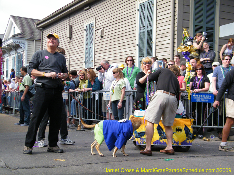 2009-Mystic-Krewe-of-Barkus-Mardi-Gras-French-Quarter-New-Orleans-Dog-Parade-Harriet-Cross-7395