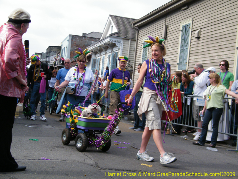 2009-Mystic-Krewe-of-Barkus-Mardi-Gras-French-Quarter-New-Orleans-Dog-Parade-Harriet-Cross-7396