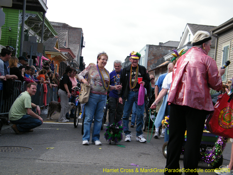 2009-Mystic-Krewe-of-Barkus-Mardi-Gras-French-Quarter-New-Orleans-Dog-Parade-Harriet-Cross-7397