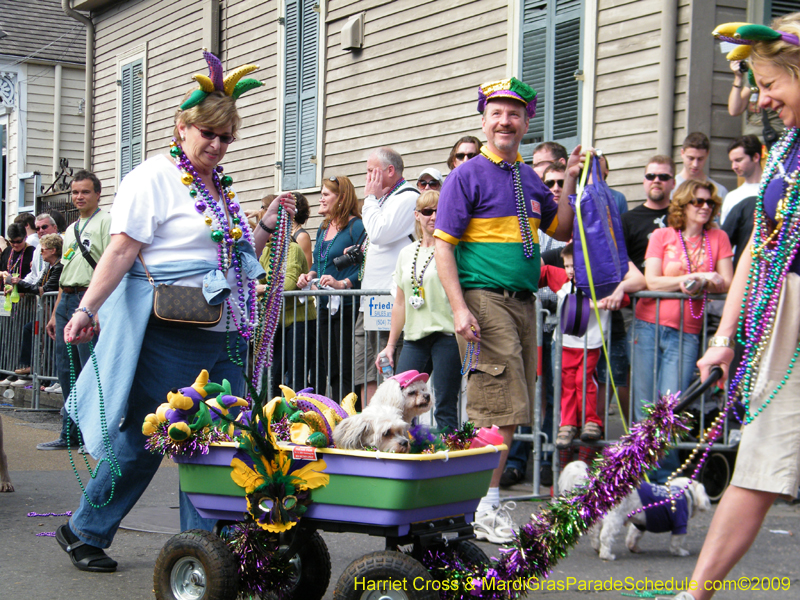 2009-Mystic-Krewe-of-Barkus-Mardi-Gras-French-Quarter-New-Orleans-Dog-Parade-Harriet-Cross-7398