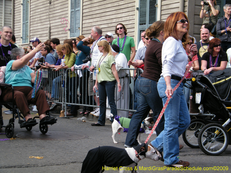 2009-Mystic-Krewe-of-Barkus-Mardi-Gras-French-Quarter-New-Orleans-Dog-Parade-Harriet-Cross-7401