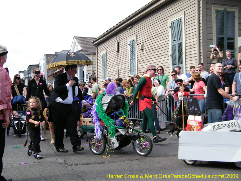 2009-Mystic-Krewe-of-Barkus-Mardi-Gras-French-Quarter-New-Orleans-Dog-Parade-Harriet-Cross-7403