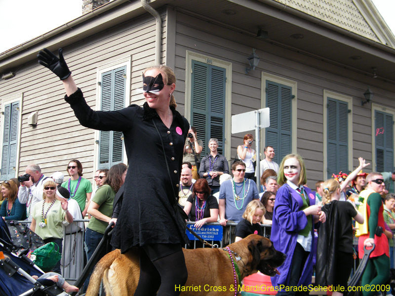 2009-Mystic-Krewe-of-Barkus-Mardi-Gras-French-Quarter-New-Orleans-Dog-Parade-Harriet-Cross-7404