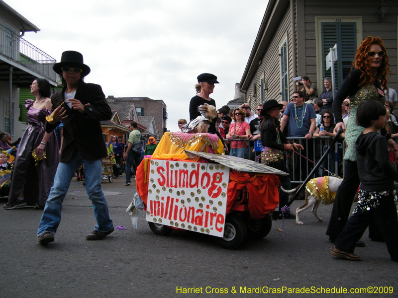 2009-Mystic-Krewe-of-Barkus-Mardi-Gras-French-Quarter-New-Orleans-Dog-Parade-Harriet-Cross-7412