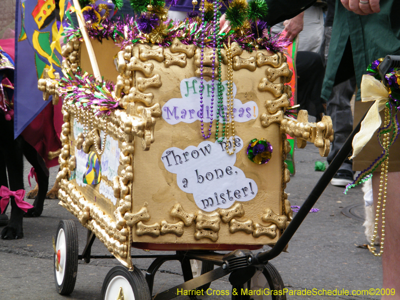 2009-Mystic-Krewe-of-Barkus-Mardi-Gras-French-Quarter-New-Orleans-Dog-Parade-Harriet-Cross-7415