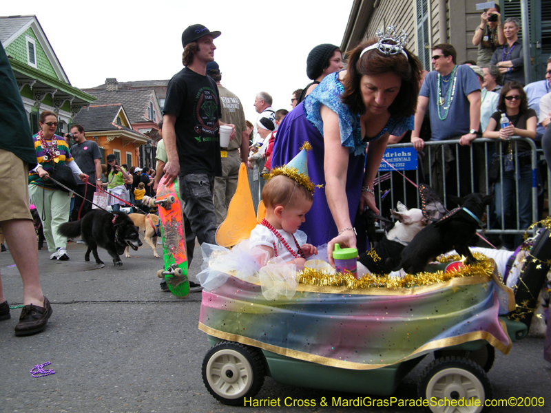 2009-Mystic-Krewe-of-Barkus-Mardi-Gras-French-Quarter-New-Orleans-Dog-Parade-Harriet-Cross-7416