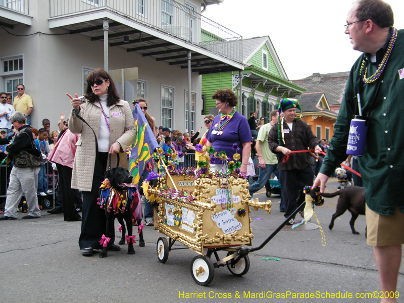 2009-Mystic-Krewe-of-Barkus-Mardi-Gras-French-Quarter-New-Orleans-Dog-Parade-Harriet-Cross-7417